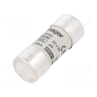 Fuse: fuse | gG | 16A | 690VAC | cylindrical,industrial | 22x58mm