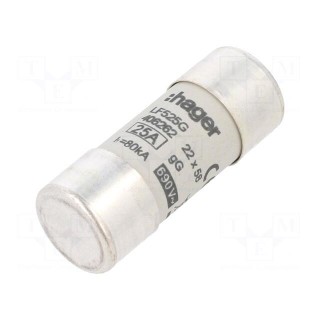 Fuse: fuse | gG | 25A | 690VAC | cylindrical,industrial | 22x58mm