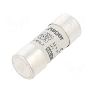 Fuse: fuse | gG | 32A | 690VAC | cylindrical,industrial | 22x58mm