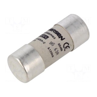 Fuse: fuse | gG | 63A | 690VAC | ceramic,cylindrical,industrial