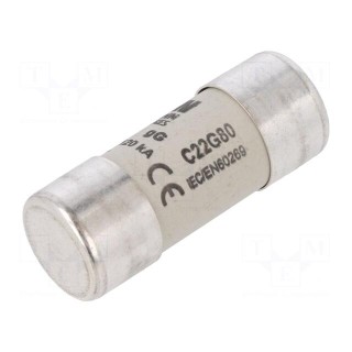 Fuse: fuse | gG | 80A | 500VAC | ceramic,cylindrical,industrial