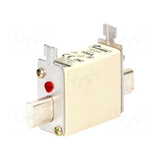 Fuse: fuse | 100A | 500VAC | 250VDC | ceramic,industrial | NH000