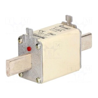 Fuse: fuse | 315A | 500VAC | 250VDC | ceramic,industrial | NH1