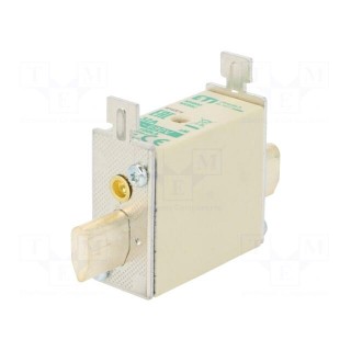 Fuse: fuse | aM | 32A | 690VAC | ceramic,industrial | NH00C | WT-NH