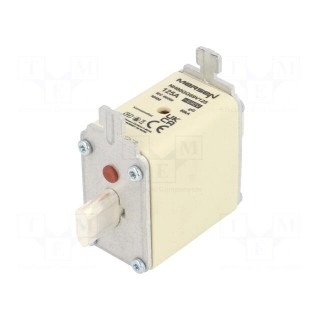Fuse: fuse | gG | 125A | 690VAC | 250VDC | ceramic,industrial | NH00