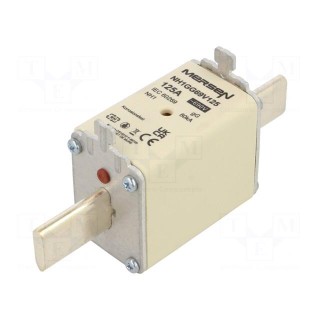 Fuse: fuse | gG | 125A | 690VAC | 400VDC | ceramic,industrial | NH1