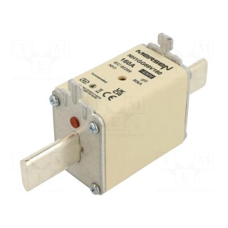 Fuse: fuse | gG | 160A | 690VAC | 400VDC | ceramic,industrial | NH1