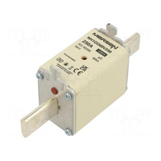 Fuse: fuse | gG | 250A | 690VAC | 400VDC | ceramic,industrial | NH1