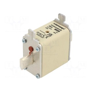 Fuse: fuse | gG | 80A | 690VAC | 250VDC | ceramic,industrial | NH00