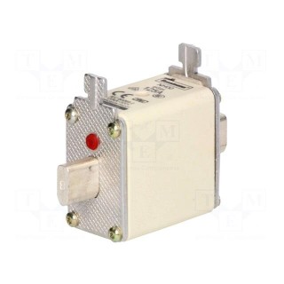 Fuse: fuse | gG,gL | 125A | 500VAC | 250VDC | ceramic,industrial | NH00