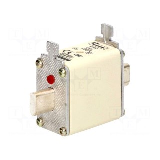 Fuse: fuse | gG,gL | 160A | 500VAC | 250VDC | ceramic,industrial | NH00