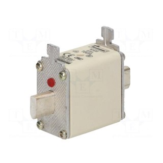 Fuse: fuse | gG,gL | 160A | 500VAC | 250VDC | ceramic,industrial | NH00
