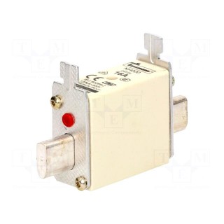 Fuse: fuse | gG,gL | 16A | 500VAC | 250VDC | ceramic,industrial | NH000