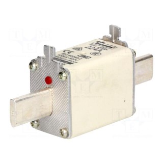Fuse: fuse | gG,gL | 224A | 500VAC | 250VDC | ceramic,industrial | NH1