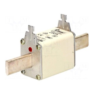 Fuse: fuse | gG,gL | 250A | 500VAC | 250VDC | ceramic,industrial | NH02