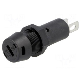 Fuse holder | cylindrical fuses | 5x20mm | 10A | Mounting: on panel