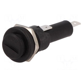 Fuse holder | cylindrical fuses | 6.3x25mm | 250V | on panel | black