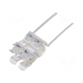 Fuse clips | cylindrical fuses | THT | 10A | Pitch: 5mm | Dim: 5x7.8x6mm