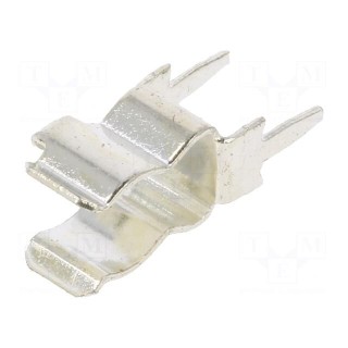 Fuse clips | cylindrical fuses | THT | 5mm | 10A | Plating: tinned | 250V