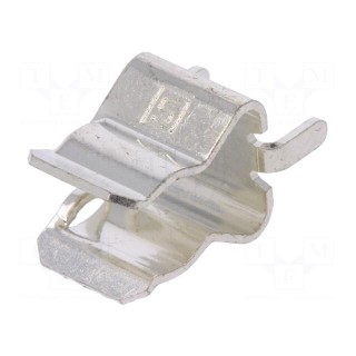 Fuse clips | cylindrical fuses | THT | 6.3x32mm | 32A | Pitch: 34.9mm