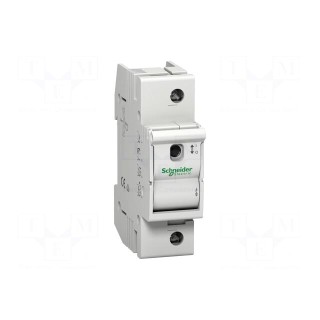 Fuse disconnector | D01 | for DIN rail mounting | Poles: 1