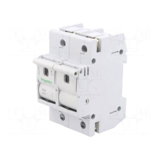 Fuse disconnector | D02 | for DIN rail mounting | 63A | Poles: 2