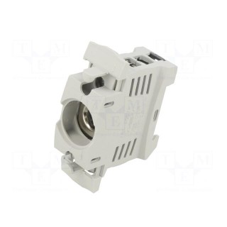 Fuse holder | protection switchgear | D01 | for DIN rail mounting