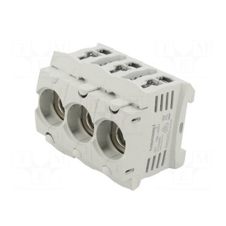 Fuse holder | protection switchgear | D01 | for DIN rail mounting