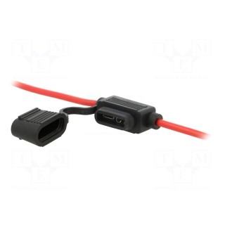 Fuse acces: fuse holder | fuse: 19mm | 30A | on cable | Leads: 2 leads