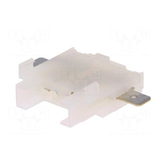 Fuse holder | 19mm | 21A | Leads: connectors 6,3mm | ways: 1 | -40÷125°C
