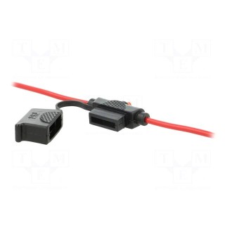 Fuse acces: fuse holder | fuse: 19mm | 30A | on cable | Leads: cables