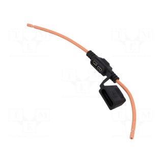 Fuse holder | 19mm | 30A | on cable | Leads: lead x2 | UL94V-0 | IP67 | 32V