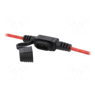Fuse holder | 11mm | 20A | Leads: cables | -40÷85°C | 58V
