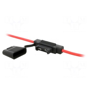 Fuse holder | 29mm | 60A | on cable | Leads: lead x2 | ways: 1 | -40÷125°C