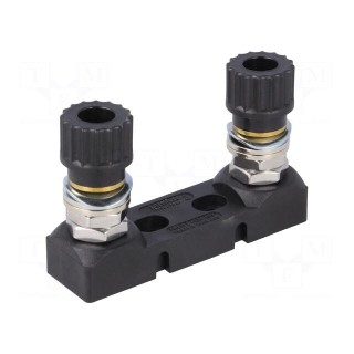 Fuse acces: fuse holder | 425A | screw type | 80V