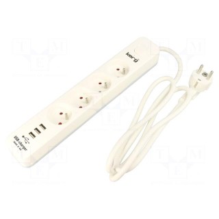 Plug socket strip: protective | Sockets: 4 | 230VAC | 16A | grey | 3680W