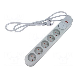 Plug socket strip: protective | Sockets: 5 | 230VAC | 10A | grey | 1.5m