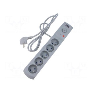 Plug socket strip: protective | Sockets: 5 | 230VAC | 10A | grey | 1.5m