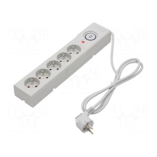 Plug socket strip: protective | Sockets: 5 | 250VAC | 10A | grey | 1.5m