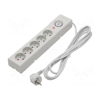 Plug socket strip: protective | Sockets: 5 | 250VAC | 10A | grey | 3m