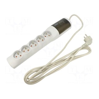 Plug socket strip: protective | Sockets: 5 | 250VAC | 10A | grey