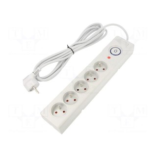 Plug socket strip: protective | Sockets: 5 | 250VAC | 10A | grey | 5m