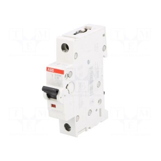 Circuit breaker | 230VAC | Inom: 10A | Poles: 1 | DIN | Charact: C | 10kA