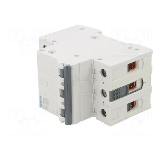 Circuit breaker | 400VAC | Inom: 50A | Poles: 3 | Charact: B | 6kA | IP20