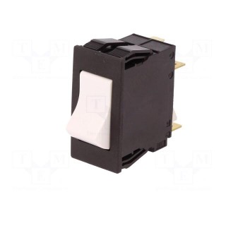 Circuit breaker | Urated: 240VAC | 60VDC | 10A | DPST | Poles: 2 | 35g