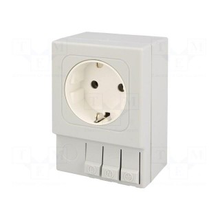 F-type socket | 250VAC | 16A | IP20 | for DIN rail mounting