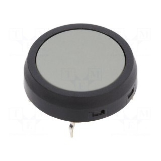 Microswitch TACT | SPST-NO | Pos: 2 | 0.05A/24VDC | Ø17.7x3mm | round