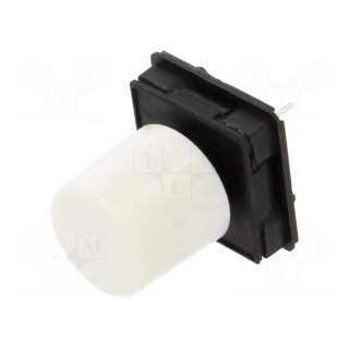Microswitch TACT | SPST-NO | Pos: 2 | 0.125A/48VDC | THT | 2.5N | 13.75mm