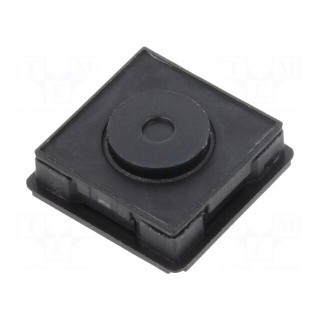 Microswitch TACT | SPST-NO | Pos: 2 | 0.125A/48VDC | THT | 2.5N | 4.4mm