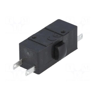 Microswitch SNAP ACTION | 1.6A/400VAC | 0.16A/220VDC | ON-(ON)
